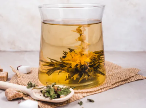 té de árnica beneficios y contraindicaciones